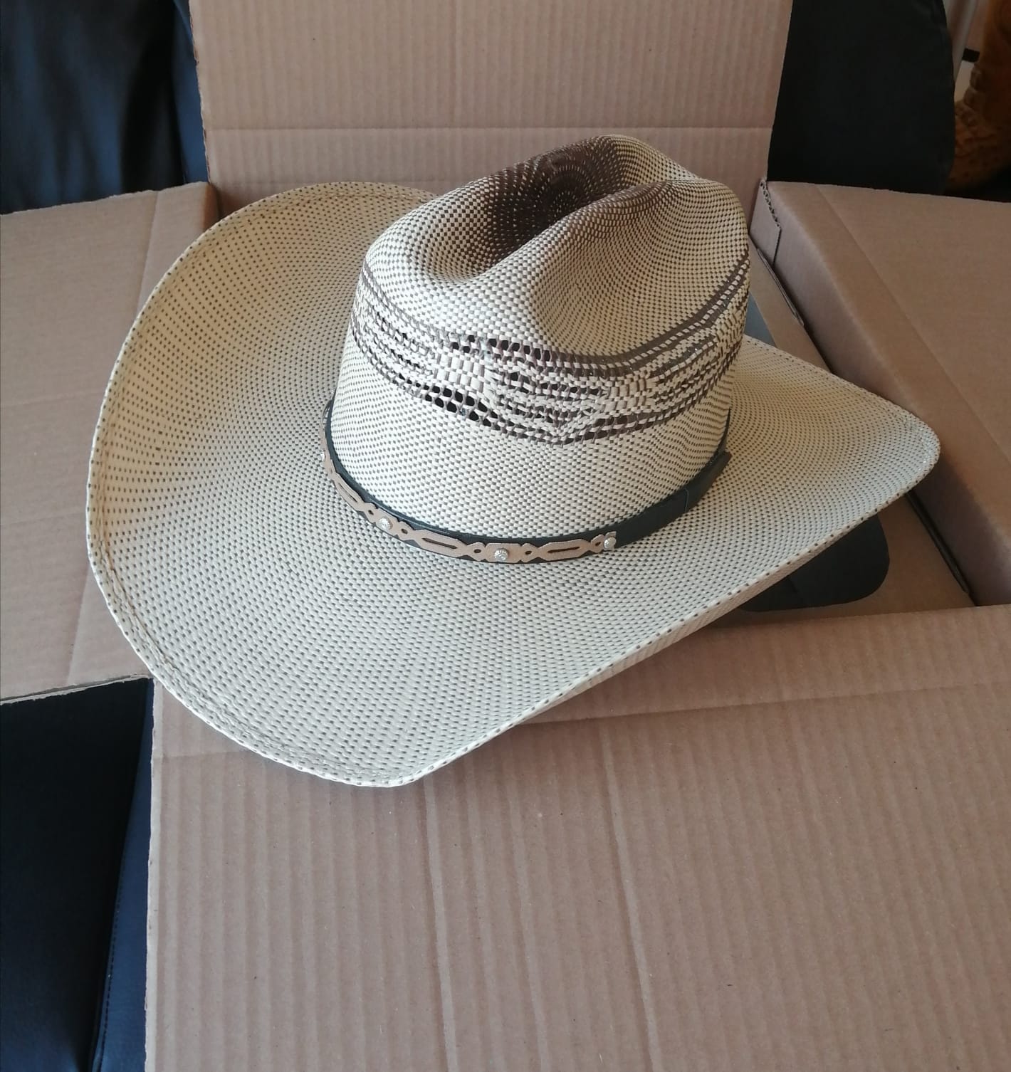 Rosario - Bangora Taiwan Bicolor, Copa Baja Americana, Falda Extra Grande.