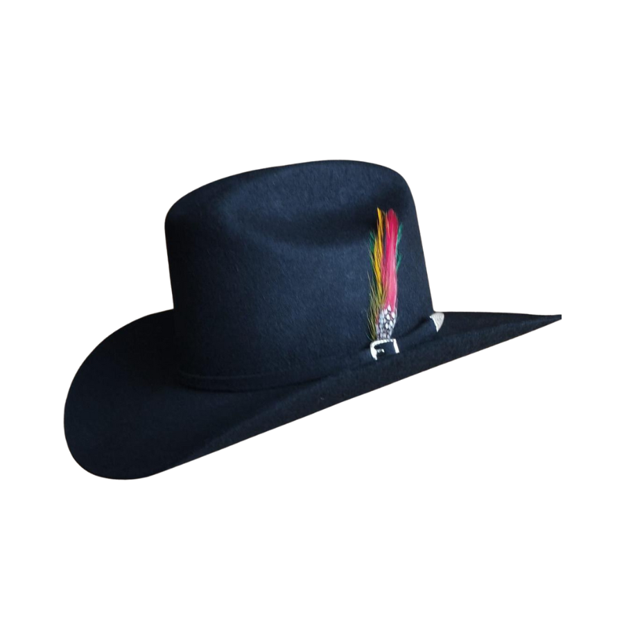 Texanas