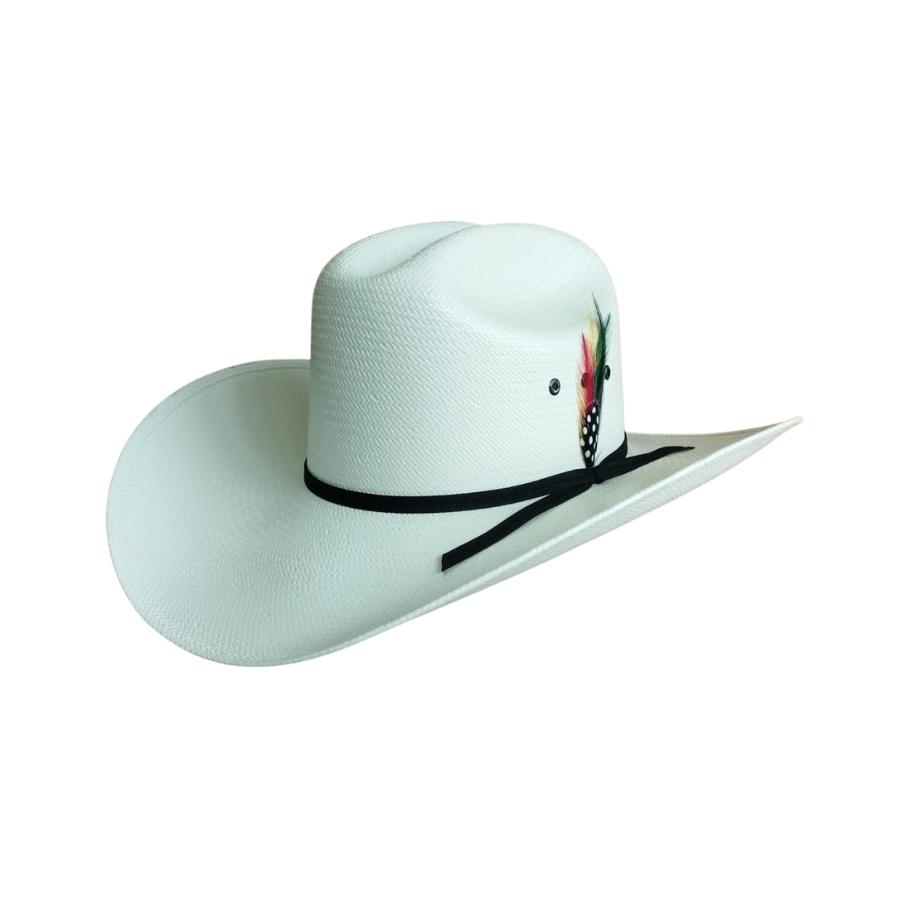 Sombrero Vaquero con Pluma